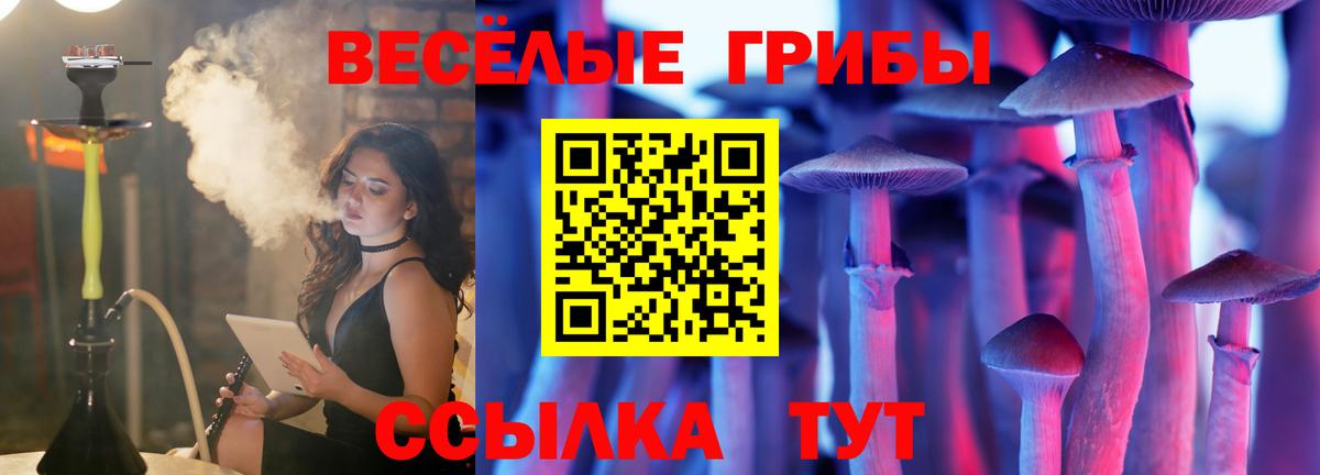 Галлюциногенные грибы мухоморы  Вход с VPN  Галлюциногенные грибы Cubensis  Дивногорск 