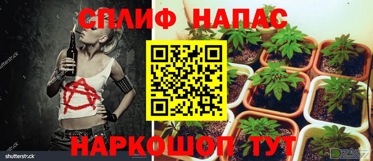 Канабис сатива  Бошки Шишки индика  Вход с VPN  Бошки Шишки ГИДРОПОН  Дивногорск 